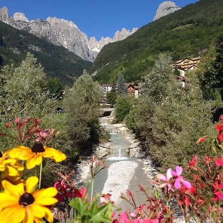 Villa Ginestra Molveno Quarto foto