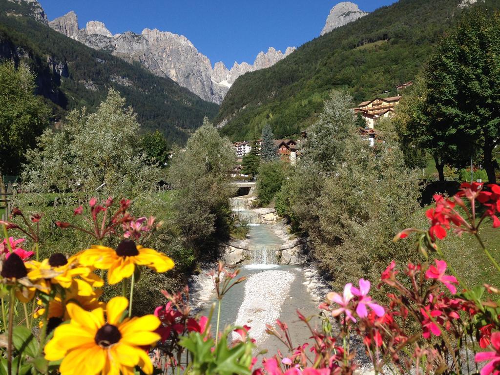 Villa Ginestra Molveno Quarto foto
